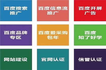 信息流广告代运营公司案例：打造高效营销解决方案